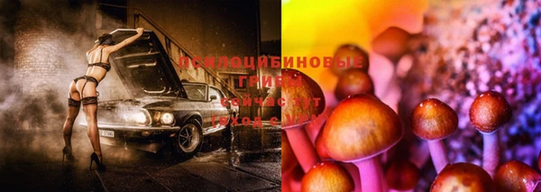 spice Богородицк